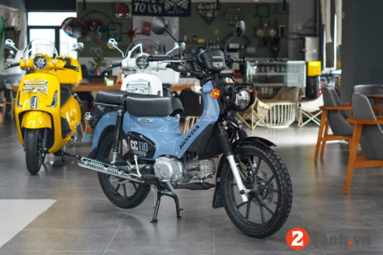 CROSS CUB 2025