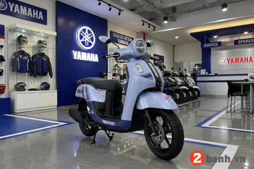 FAZZIO 2026 STARRY NIGHT