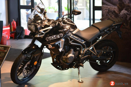 TRIUMPH TIGER 800 2022