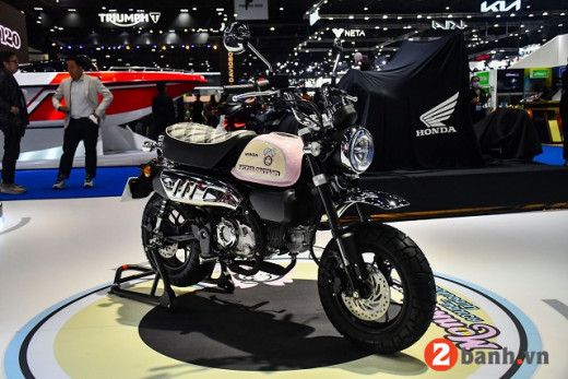 MONKEY EASTER EGG EDITION