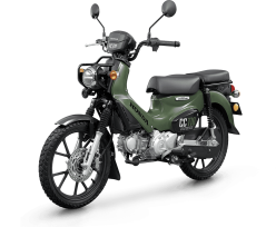 Cross Cub 2025