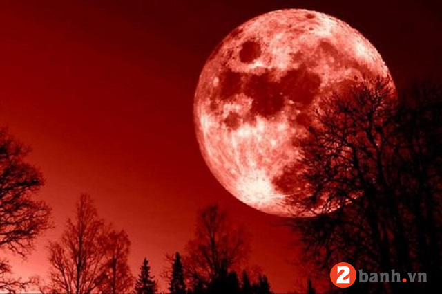 Mua xe máy mới cần tránh những điều kiêng kỵ gì hay không - 6