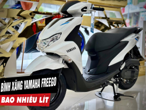 Bình xăng xe Freego S bao nhiêu lít? Freego S 2025 có tiết kiệm xăng không?