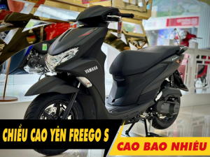 Chiều cao yên xe Freego S 2025 bao nhiêu? Nam cao 1m6 đi có phù hợp?