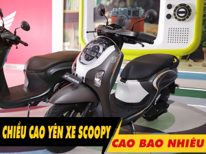 Chiều cao yên xe Scoopy 2025 bao nhiêu? Nữ cao 1m5 đi có phù hợp?