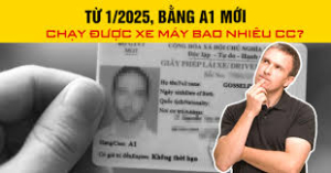 Bằng a1 chạy được xe bao nhiêu cc năm 2026?