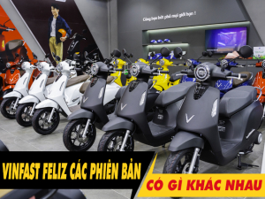 Các mẫu xe điện VinFast dòng Evo có gì khác nhau?