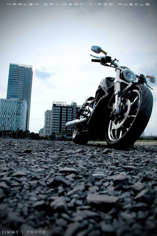 V-rod-muscle special - 1