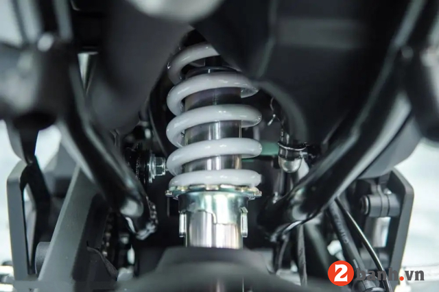 Papio xo-2 trail - 18