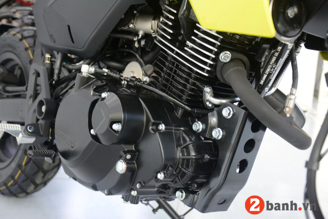 Papio xo-2 trail - 3