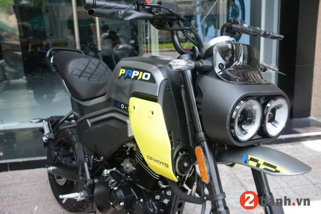 Papio xo-2 trail - 8