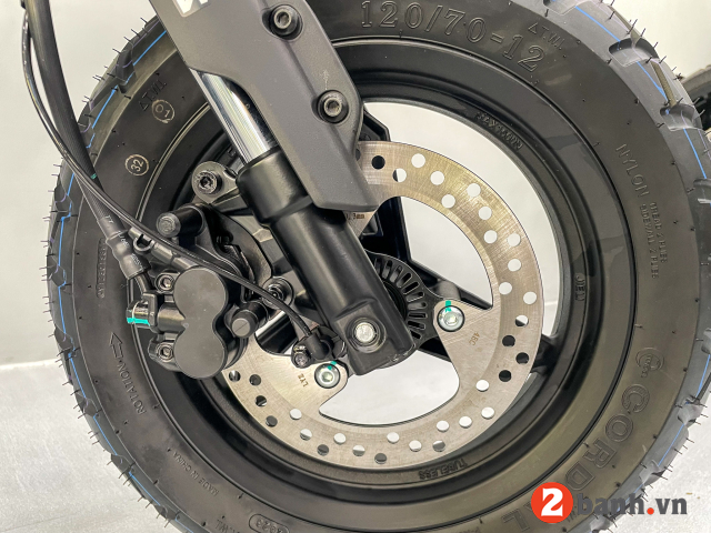 Papio xo-2 trail - 19