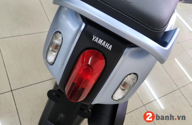 Fazzio 2026 starry night - 9