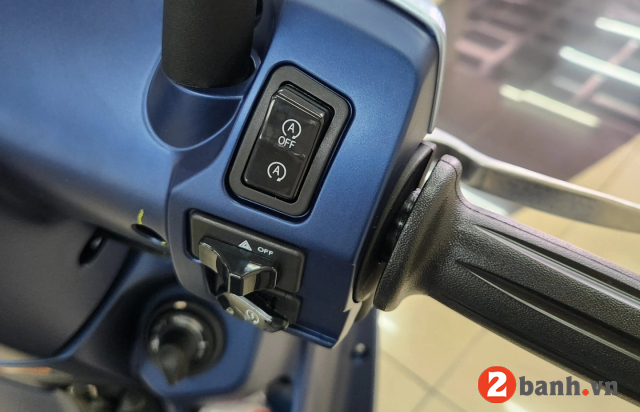 Fazzio 2026 starry night - 11